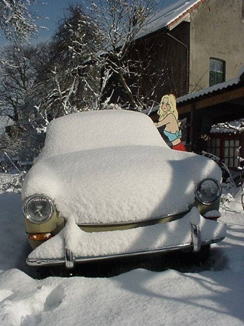 SNOWPOWDER SQUARE GIRLIE BB