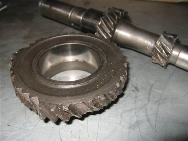 pussie first (3) BBB