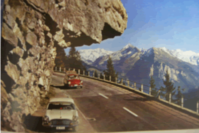 postkaart klant puppy