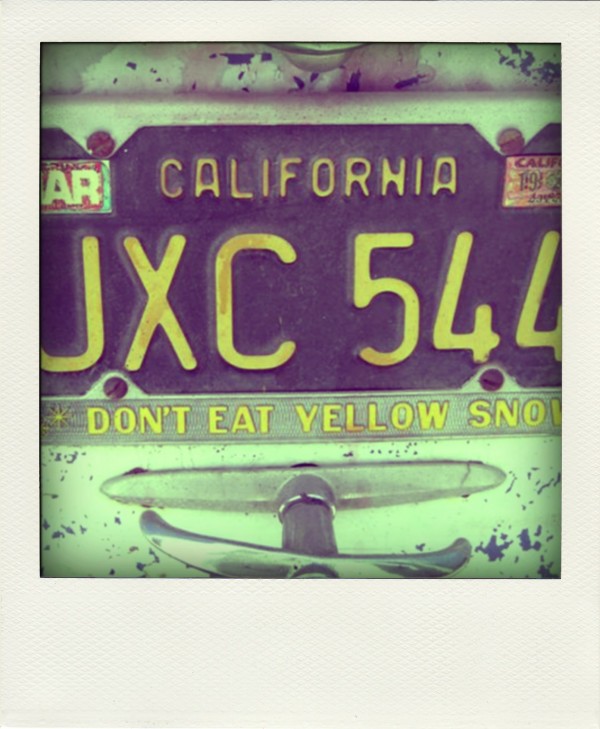 yellow snow-pola01.jpg